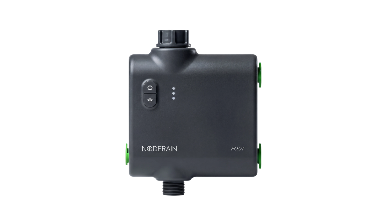 Noderain Starter-Set