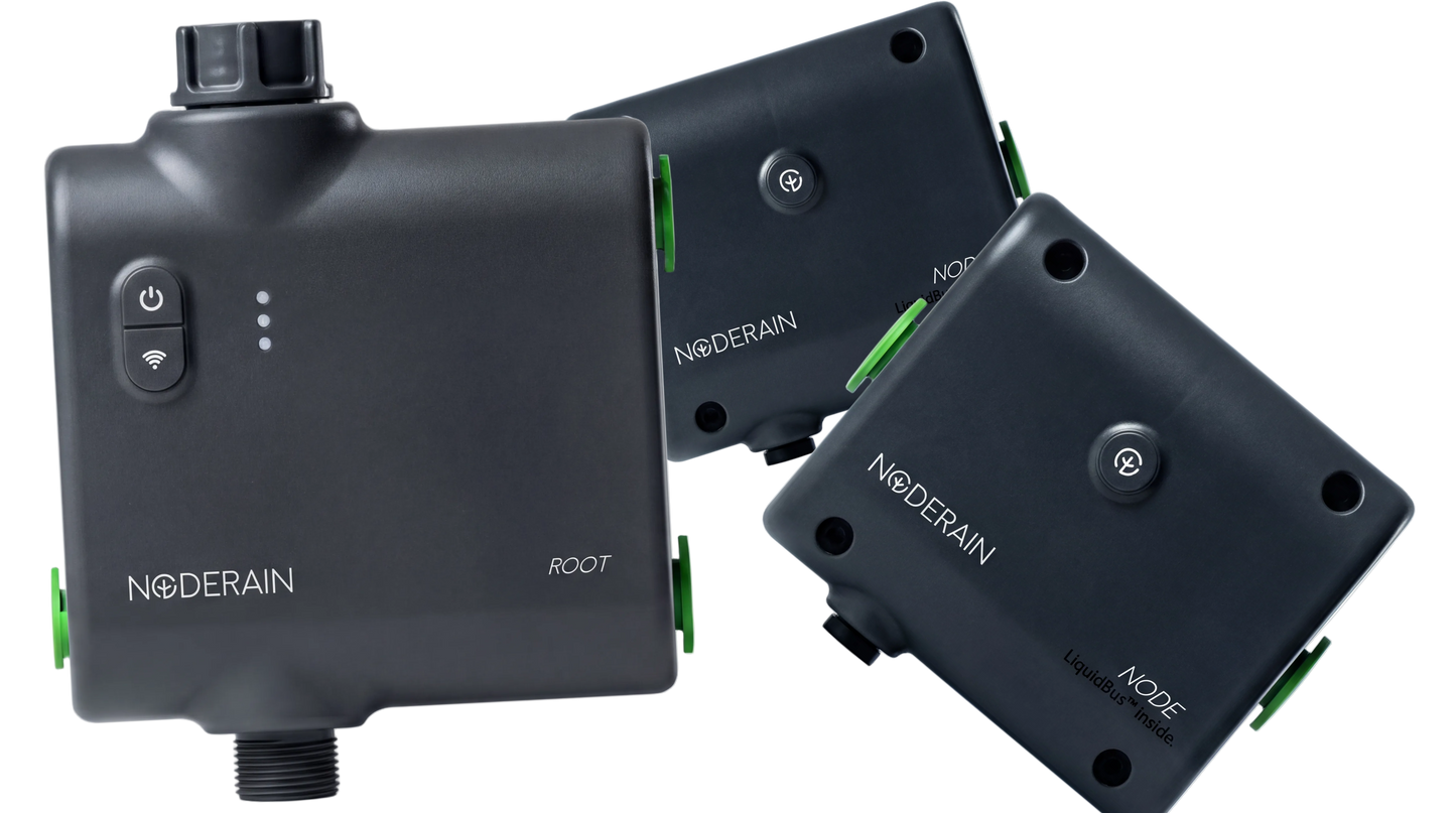 Noderain Starter-Set